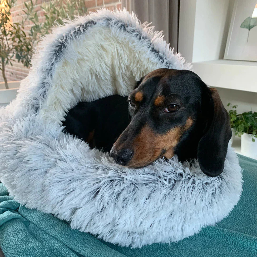 TRULEGANCE™ CozyCove - Premium Pet Bed